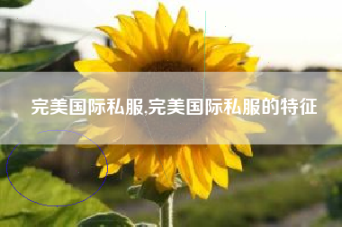完美国际私服,完美国际私服的特征