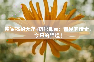 独家揭秘天龙sf仿官服08：曾经的传奇，今日的辉煌！