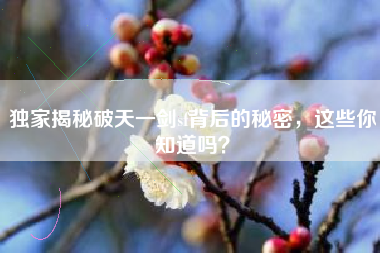 独家揭秘破天一剑sf背后的秘密，这些你知道吗？