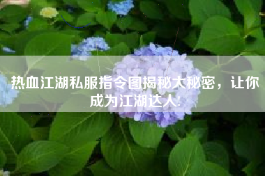 热血江湖私服指令图揭秘大秘密，让你成为江湖达人!