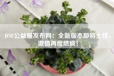 DNF公益服发布网：全新版本即将上线，激情再度燃烧！