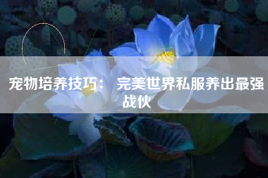 宠物培养技巧： 完美世界私服养出最强战伙