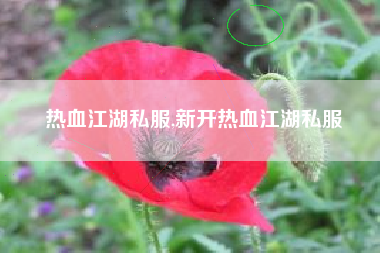 热血江湖私服,新开热血江湖私服