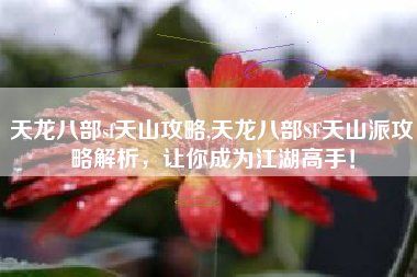 天龙八部sf天山攻略,天龙八部SF天山派攻略解析，让你成为江湖高手！