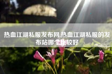 热血江湖私服发布网,热血江湖私服的发布站哪个比较好