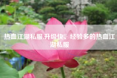 热血江湖私服,升级快、经验多的热血江湖私服