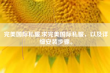 完美国际私服,求完美国际私服，以及详细安装步骤。