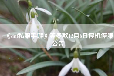 《dnf私服手游》等多款12月6日停机停服公告