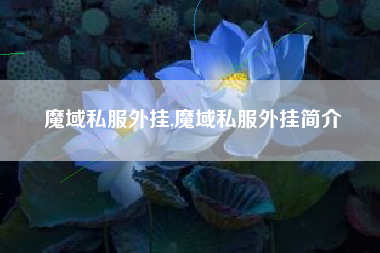 魔域私服外挂,魔域私服外挂简介