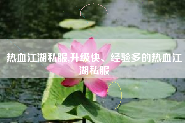 热血江湖私服,升级快、经验多的热血江湖私服