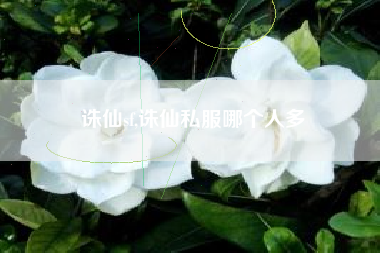 诛仙sf,诛仙私服哪个人多