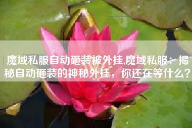 魔域私服自动砸装被外挂,魔域私服:揭秘自动砸装的神秘外挂,你还在等什么?