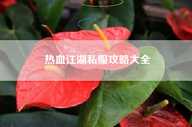 热血江湖私服攻略大全
