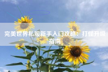 完美世界私服新手入门攻略：打怪升级指南