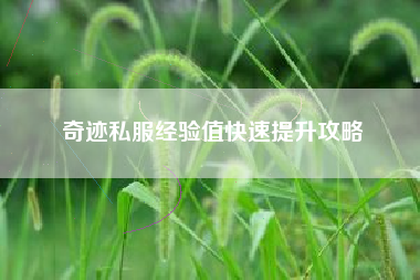 奇迹私服经验值快速提升攻略