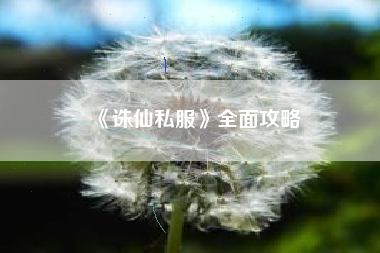 《诛仙私服》全面攻略