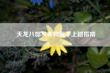 天龙八部发布网新手上路指南