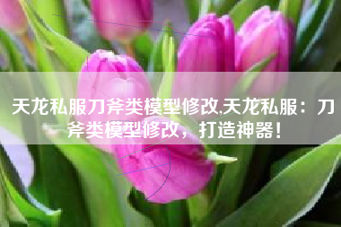 天龙私服刀斧类模型修改,天龙私服：刀斧类模型修改，打造神器！