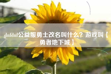 dnfdnf公益服勇士改名叫什么？游戏叫【勇者地下城】
