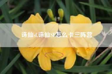 诛仙sf,诛仙SF怎么卡三阵营