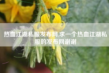热血江湖私服发布网,求一个热血江湖私服的发布网谢谢