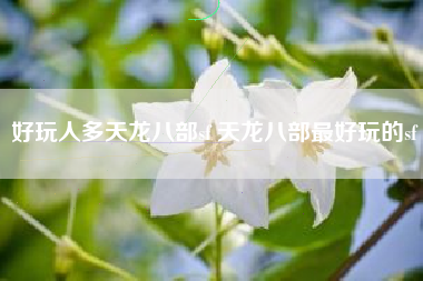 好玩人多天龙八部sf 天龙八部最好玩的sf