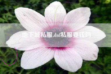 地下城私服,dnf私服要钱吗