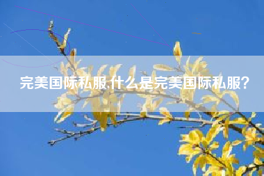 完美国际私服,什么是完美国际私服？