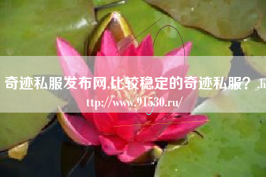 奇迹私服发布网,比较稳定的奇迹私服？,http://www.91530.ru/