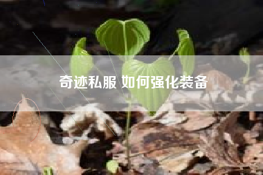 奇迹私服 如何强化装备