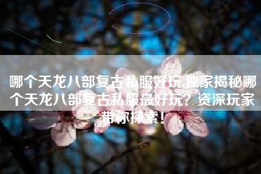 哪个天龙八部复古私服好玩,独家揭秘哪个天龙八部复古私服最好玩?资深玩家带你探索!