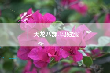 天龙八部sf马贼服