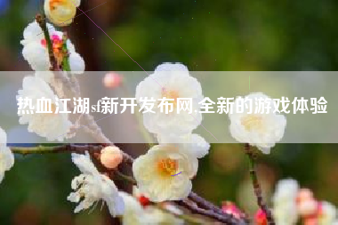 热血江湖sf新开发布网,全新的游戏体验