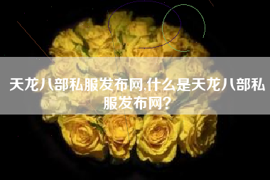 天龙八部私服发布网,什么是天龙八部私服发布网？