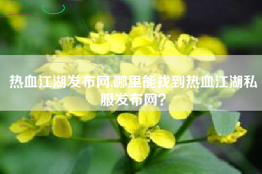 热血江湖发布网,哪里能找到热血江湖私服发布网?