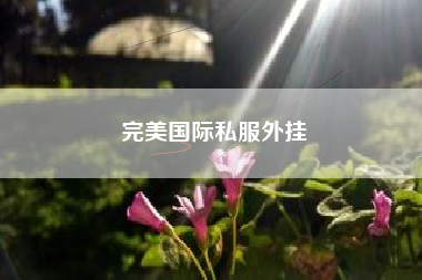 完美国际私服外挂