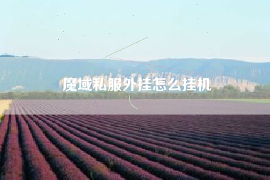 魔域私服外挂怎么挂机