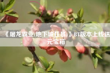 《屠龙霸业(地下城狂暴)》BT版本上线送元宝箱