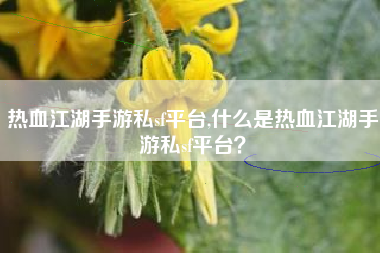 热血江湖手游私sf平台,什么是热血江湖手游私sf平台？