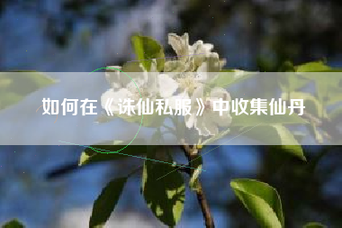 如何在《诛仙私服》中收集仙丹