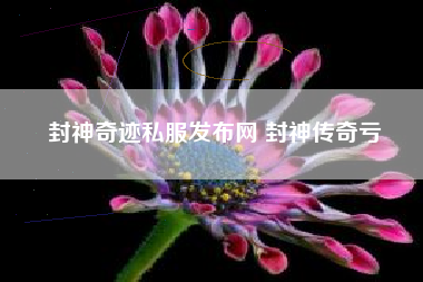 封神奇迹私服发布网 封神传奇亏
