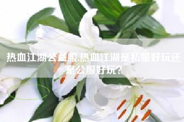 热血江湖公益服,热血江湖是私服好玩还是公服好玩？