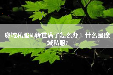魔域私服bb转世满了怎么办,1. 什么是魔域私服?