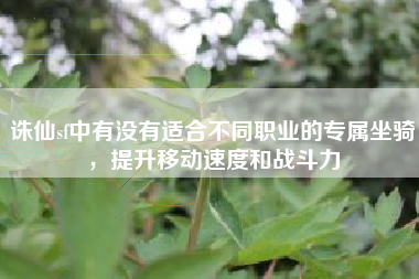 诛仙sf中有没有适合不同职业的专属坐骑，提升移动速度和战斗力