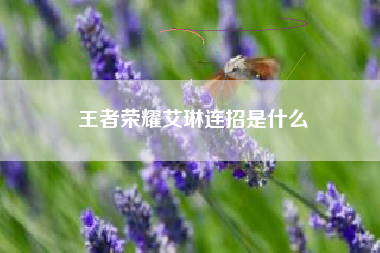 王者荣耀艾琳连招是什么