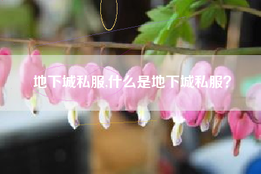 地下城私服,什么是地下城私服？