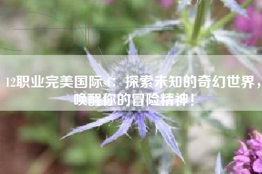 12职业完美国际sf：探索未知的奇幻世界，唤醒你的冒险精神！