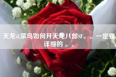 天龙sf,菜鸟如何开天龙八部SF。。一定要详细的 。。