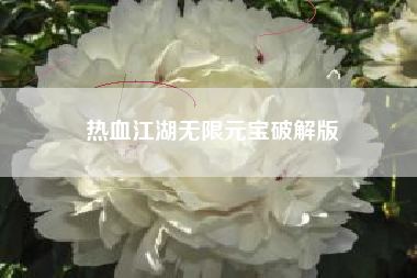 热血江湖无限元宝破解版
