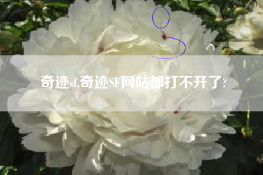 奇迹sf,奇迹SF网站都打不开了?